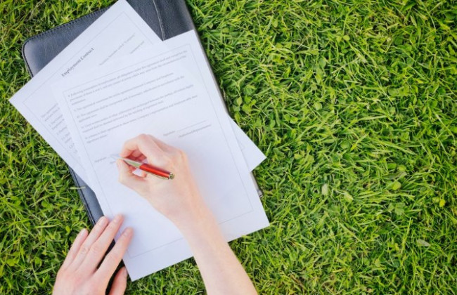 Передача в оренду землі, яка перебуває у комунальній власності: постанова ВС