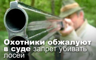 Охотники обжалуют в суде запрет убивать лосей