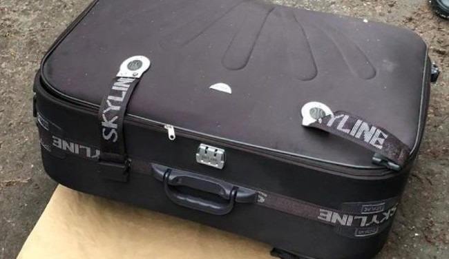 Тело девушки в чемодане: в жутком деле появились новые подробности