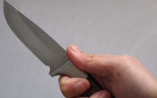 Под Львовом горе-внук нанес бабушке 9 ножевых ранений