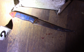 Кровавая расправа: подросток ножом и топором убил мать и бабушку