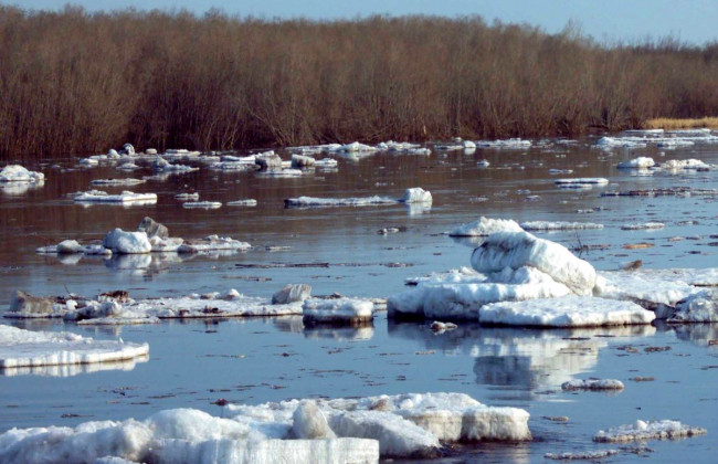 Страшная находка всколыхнула Волынь: тело ребенка лежало на льдине