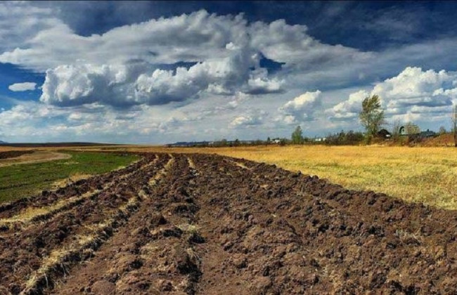 Мораторий на продажу земли: Порошенко подписал закон