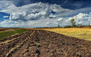 Мораторий на продажу земли: Порошенко подписал закон