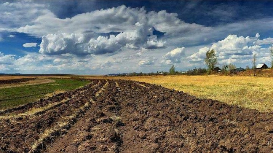 Мораторий на продажу земли: Порошенко подписал закон