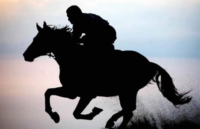 Под Одессой копы задержали «ковбоя»: преступник пытался скрыться от полиции на лошади