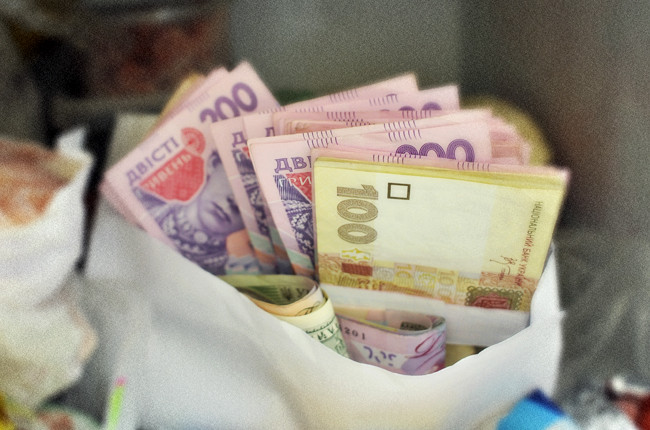 Не зарплатой единой: Госстат раскрыл главные источники доходов украинцев
