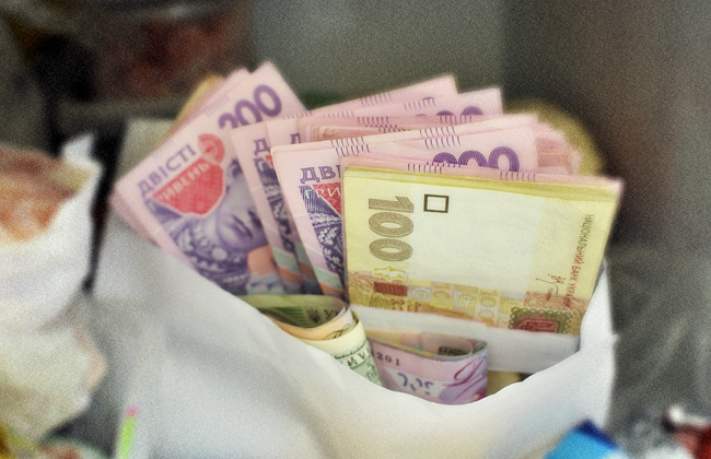 Не зарплатой единой: Госстат раскрыл главные источники доходов украинцев