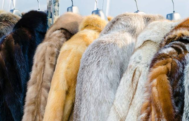 Заборона хутрового виробництва: у Верховній Раді зареєстрували важливий законопроект