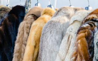 Заборона хутрового виробництва: у Верховній Раді зареєстрували важливий законопроект