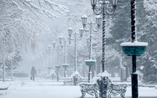 Морозы с новой силой вернутся в Украину: когда ожидать потепление