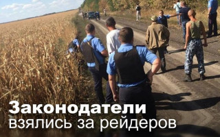 Законодатели взялись за рейдеров