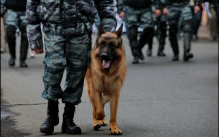 Слідчі ДБР затримали конвоїра за постачання наркотиків у місця позбавлення волі