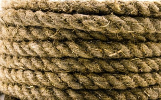 Тіло було прив'язане до дерева: між селами у Житомирській області знайшли труп
