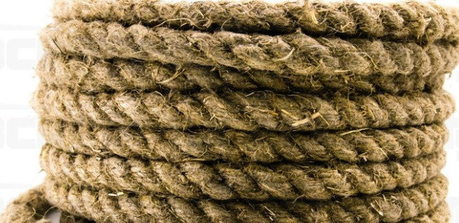 Тіло було прив'язане до дерева: між селами у Житомирській області знайшли труп