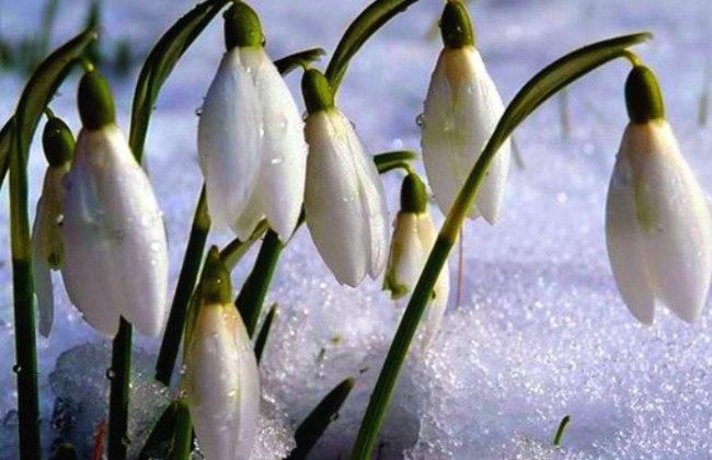 Выходные в марте: сколько будут отдыхать украинцы