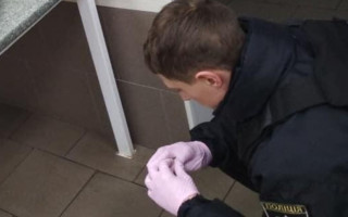 «Порвав руку і вухо»: бійцівський собака напав на відвідувача супермаркету