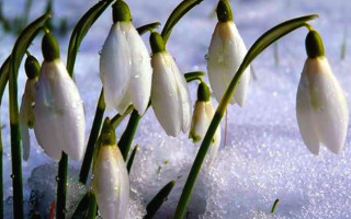 Выходные в марте: сколько будут отдыхать украинцы