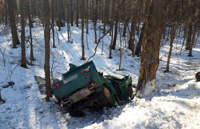 Под Киевом ВАЗ вылетел в кювет и врезался в дерево: погибло два человека