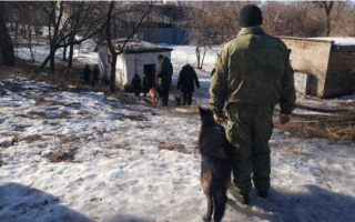 Вибухи в окупованому Донецьку: метою була «адміністрація» Пушиліна