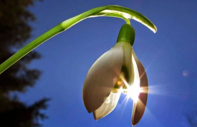 Март-2019: сколько дней отдохнут украинцы в этом году