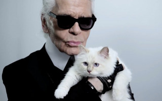 Лагерфельд оставил наследство кошке, а звезду сериала «Ранетки» жестоко избили: новости шоубиза