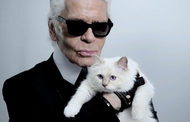 Лагерфельд оставил наследство кошке, а звезду сериала «Ранетки» жестоко избили: новости шоубиза