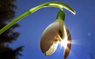 Март-2019: сколько дней отдохнут украинцы в этом году