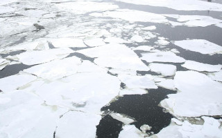 Трагедія на Львівщині: 7-річна дитина втопилася у ставку