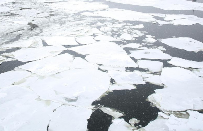 Трагедія на Львівщині: 7-річна дитина втопилася у ставку