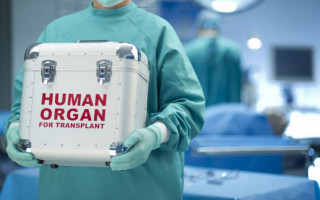Рада ухвалила закон про трансплантацію