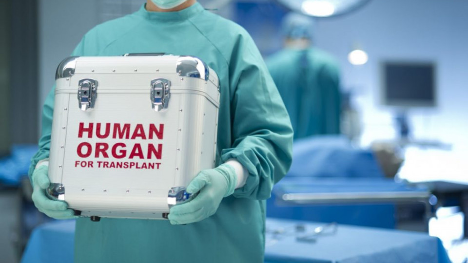 Трансплантації органів в Україні — бути