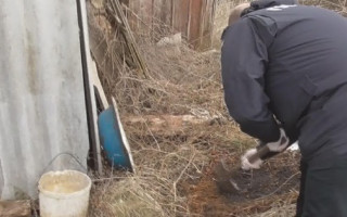 Закопала в огороде: под Одессой мать задушила своего ребенка