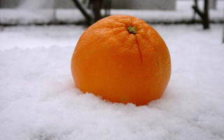 Выброшенный из окна апельсин едва не убил ребенка в Киеве