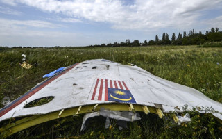 Катастрофа MH17: в деле появилось важное заявление
