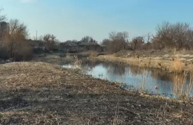 Тіло дитини знайшли: Кропивницький сколихнуло вбивство немовляти