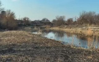 Тіло дитини знайшли: Кропивницький сколихнуло вбивство немовляти