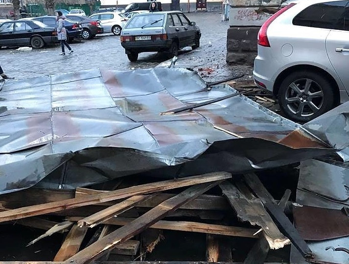 Во Львове шквальный ветер повредил крыши и повалил деревья: подробности