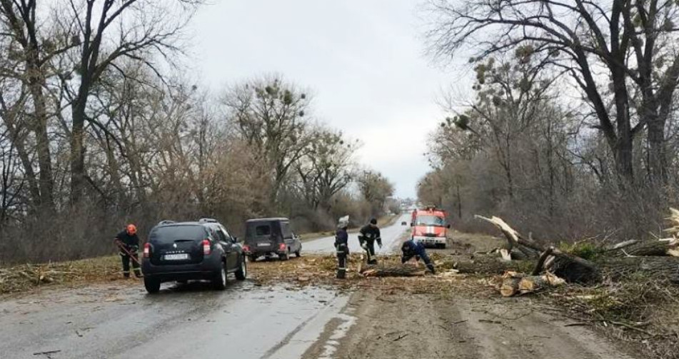 Повалені дерева, побиті автомобілі: буревій «пошматував» Хмельниччину