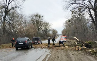 Повалені дерева, побиті автомобілі: буревій «пошматував» Хмельниччину