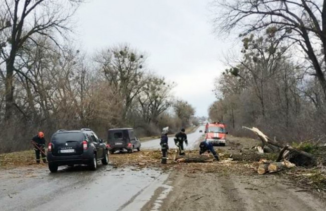 Повалені дерева, побиті автомобілі: буревій «пошматував» Хмельниччину