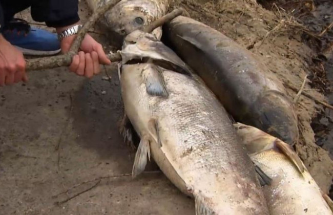 Угроза экологической катастрофы нависла над Киевом: подробности