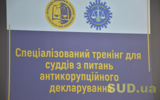 Судді обговорили питання, що найчастіше виникають під час заповнення е-декларацій