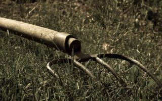Вдарив вилами в груди та живіт: на Хмельниччині онук жорстоко вбив бабусю