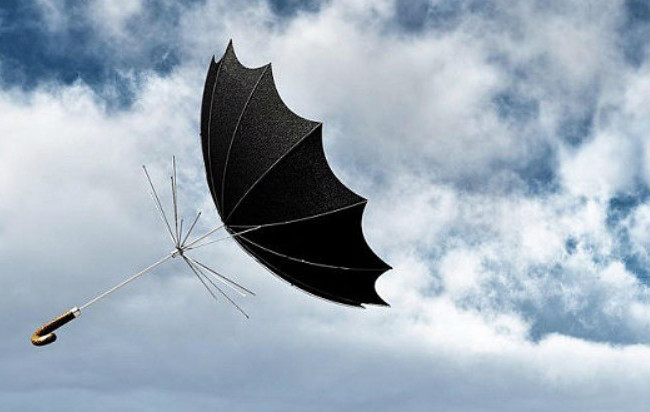 Киевлян предупредили о сильном ветре в выходные