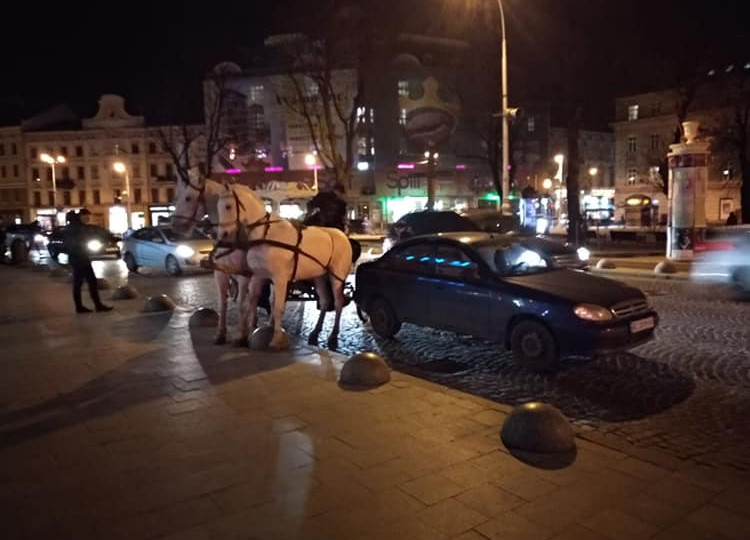 ДТП с лошадьми в центре Львова: пьяный кучер кареты столкнулся с легковушкой