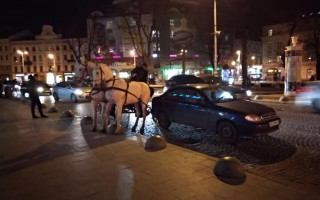 ДТП с лошадьми в центре Львова: пьяный кучер кареты столкнулся с легковушкой