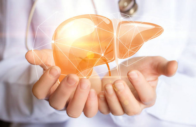 Как очистить печень: полезные продукты для здоровья