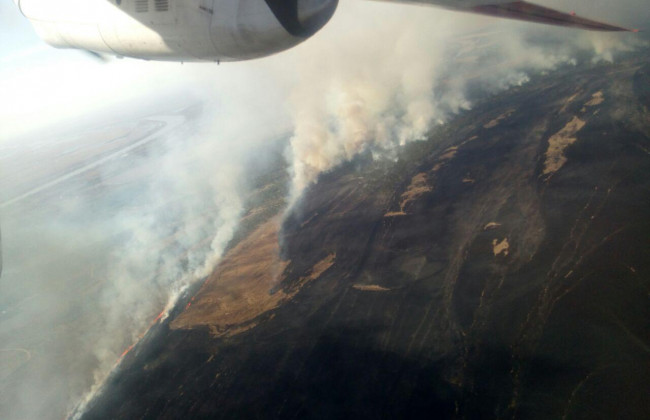 В Одесской области произошел масштабный пожар: к тушению задействовали авиацию