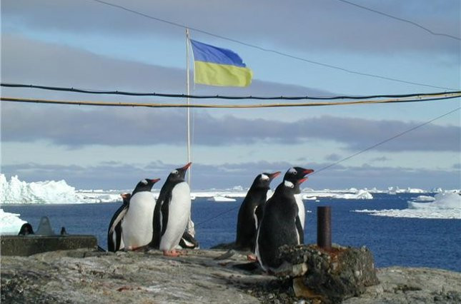 Выборы-2019: в Антарктиде обустроили избирательный участок для украинских полярников